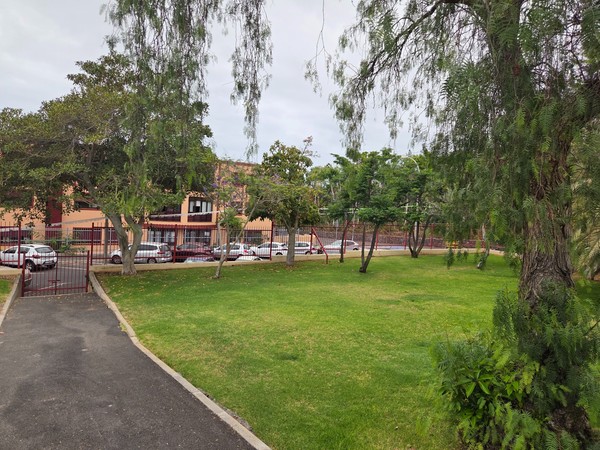 Pradera central en el interior del Parque Santa Úrsula.