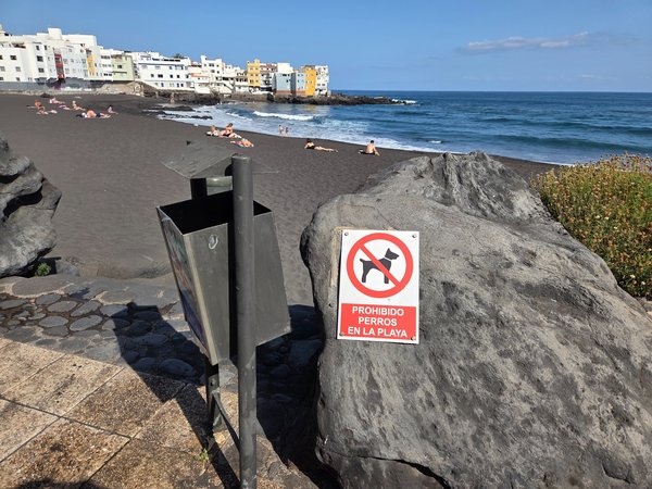 Cartel sobre una roca volcánica que prohíbe la entrada de perros en la playa.
